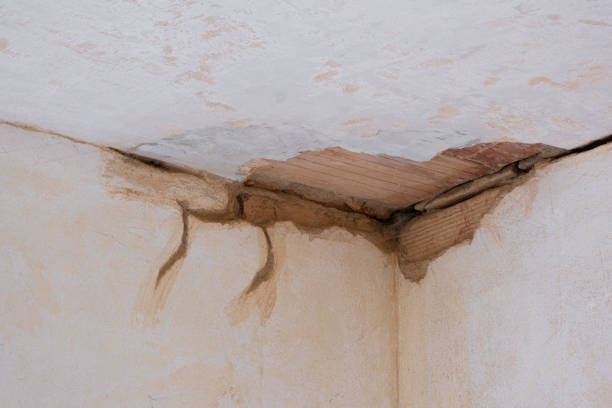 Best Water damage contractors near me  in Potomac Heights, MD