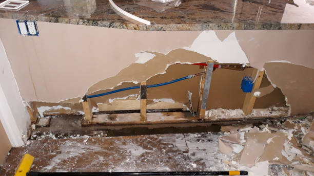 Best Flood damage cleanup  in Potomac Heights, MD