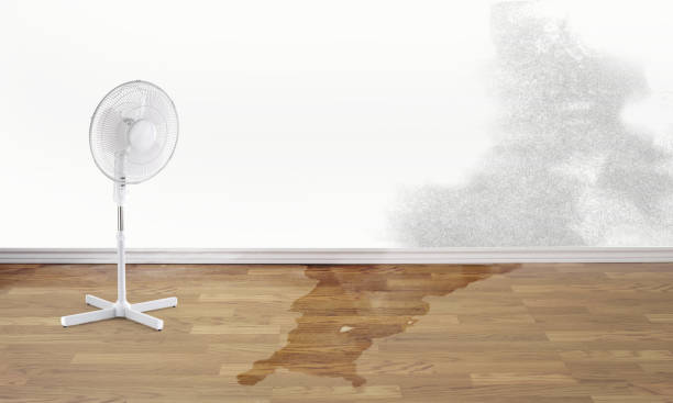 Best 24-hour water damage restoration  in Potomac Heights, MD