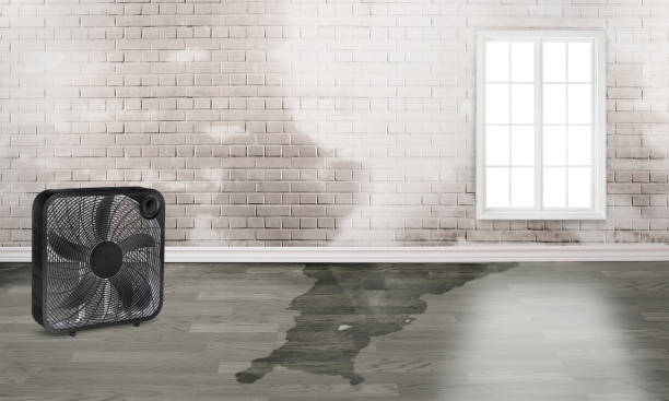 Best Commercial water damage restoration  in Potomac Heights, MD