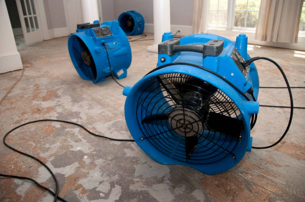 Local water damage restoration in MD