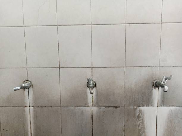 Best Emergency water damage restoration  in Potomac Heights, MD
