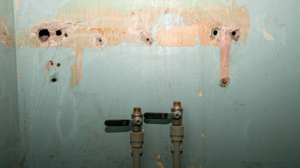 Best Water damage restoration near me  in Potomac Heights, MD