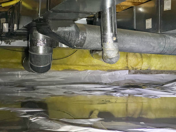 Best Water damage restoration mold remediation  in Potomac Heights, MD