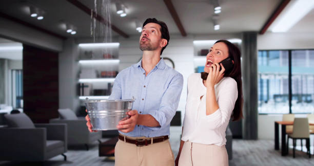 Best Flood restoration services  in Potomac Heights, MD